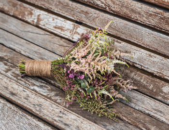 High angle view of flowering plant on table