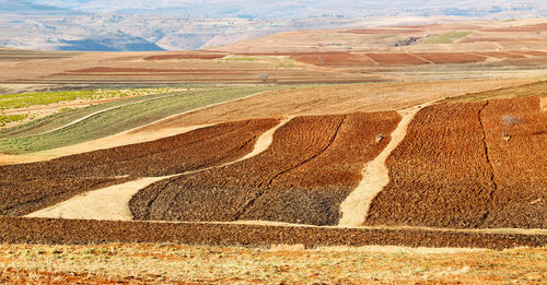 High angle view of field