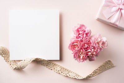 High angle view of pink flower on table against white background