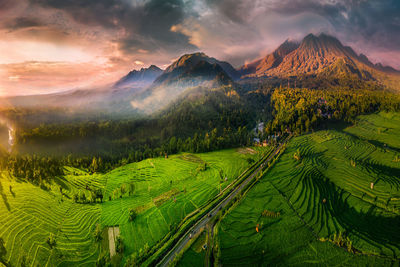 Scenic view of vineyard against sky