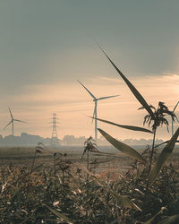 Wind turbines on field against sky during sunset
