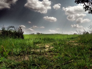 Scenic view of grassy field against cloudy sky