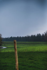 Scenic view of field against clear sky