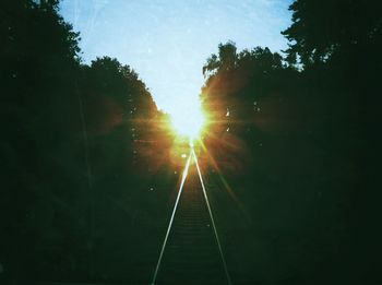 Sun shining through trees