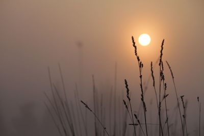 Scenic view of landscape against sky at sunset