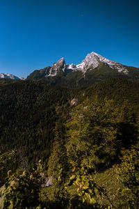 View from grünstein to watzmann on a sunny summer day