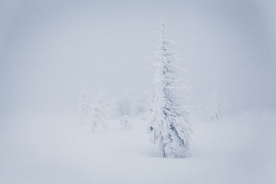 Scenic view of snow covered land against sky