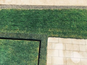 High angle view of grass on field