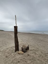 Driftwood on wooden posts on beach against sky