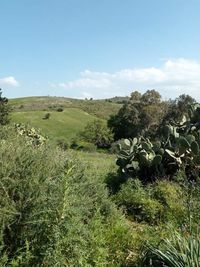 Scenic view of land against sky