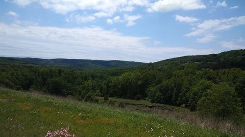 Scenic view of field against sky