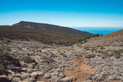 Scenic view of mountains against clear blue sky