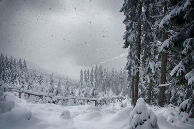 Scenic view of snow covered field