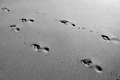 High angle view of footprints on beach