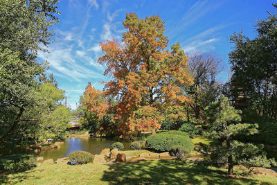 Autumn trees against sky