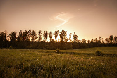 Scenic view of field against sky during sunset