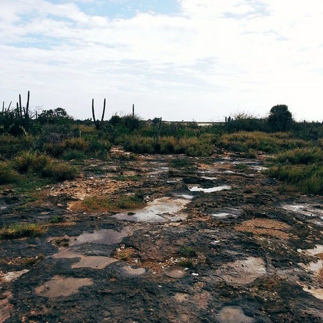 sky, tranquil scene, tranquility, water, cloud - sky, scenics, nature, beauty in nature, rock - object, landscape, grass, cloud, cloudy, non-urban scene, plant, day, rock formation, tree, idyllic, outdoors