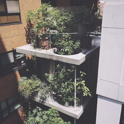 High angle view of residential building