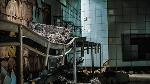 Abandoned horse in front of building