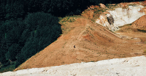 Shadow of trees on rock