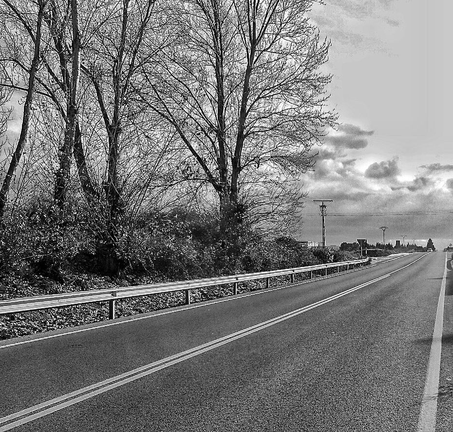 road, tree, bare tree, transportation, the way forward, day, no people, outdoors, nature, sky, branch, city