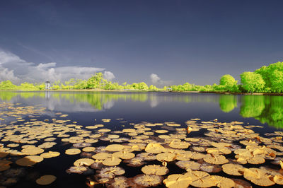 Scenic view of lake against sky