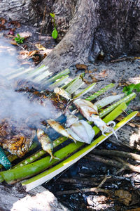 High angle view of fish on barbecue grill