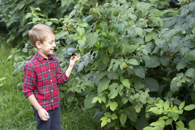 Boy standing amidst plants