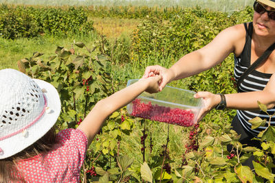 Midsection of woman holding food on plant