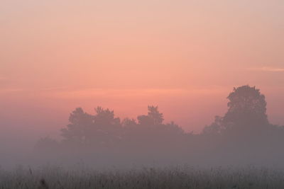 Trees on field against sky during sunset
