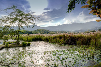 Scenic view of landscape against sky