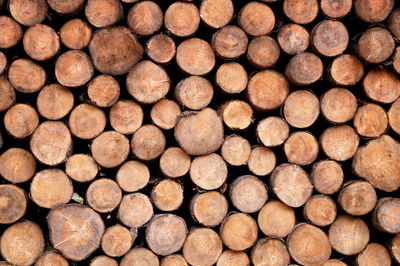 Full frame shot of logs