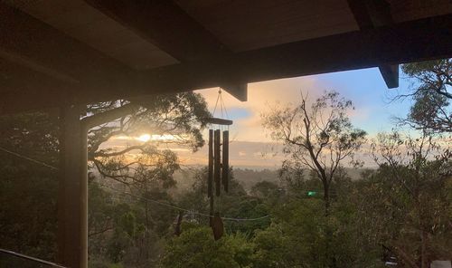 Trees by plants against sky during sunset