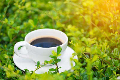 Cup of coffee with tea
