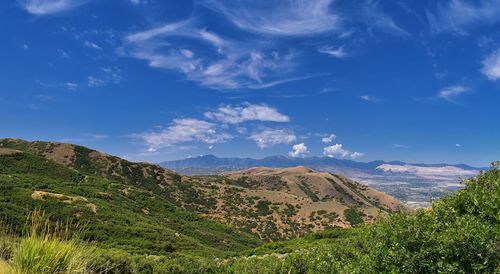 Scenic view of landscape against blue sky