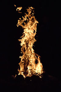 Close-up of bonfire at night