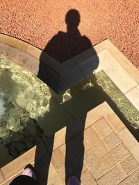 Low section of woman standing on tiled floor