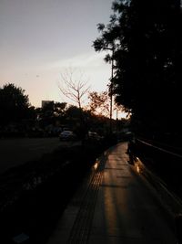 Road passing through forest