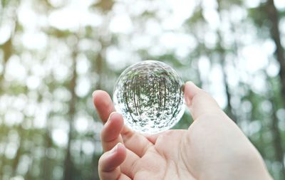 Close-up of hand holding crystal ball