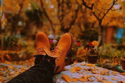 Low section of man wearing shoes against autumn trees