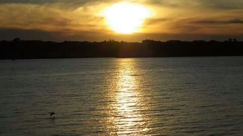 sunset, water, sun, reflection, tranquil scene, silhouette, scenics, waterfront, tranquility, beauty in nature, sky, orange color, lake, nature, bird, idyllic, animal themes, rippled, sunlight, cloud - sky