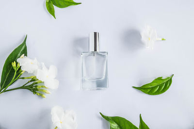 Close-up of white flower in glass bottle