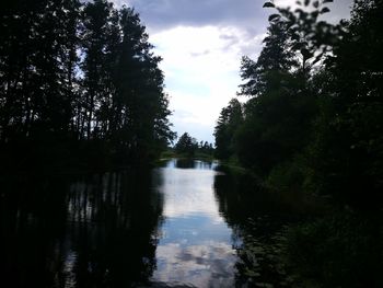 Scenic view of river amidst trees in forest against sky