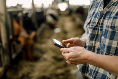 Farmer using smart phone standing with hammer at cattle farm