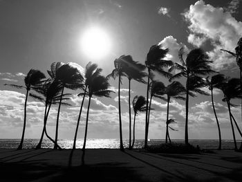 Palm trees on beach against sky