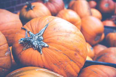 Close-up of pumpkins for sale