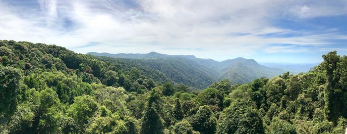 Panoramic view of trees on landscape against sky