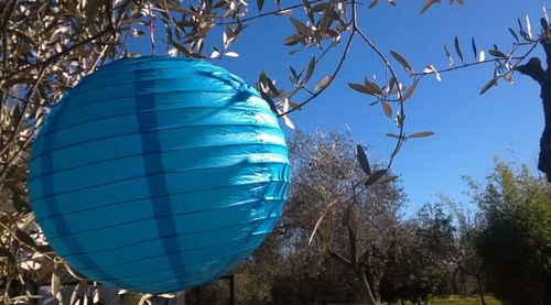 Low angle view of trees against blue sky