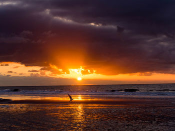 Scenic view of sea at sunset