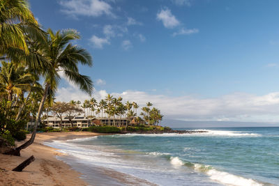 Palm trees on beach against sky